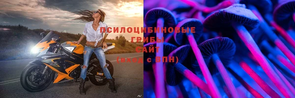 ешки Абаза
