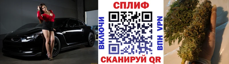 где продают Касли Бошки марихуана планчик